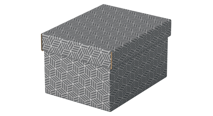 Opberg en geschenkdoos esselte 200x150x255(628281)
