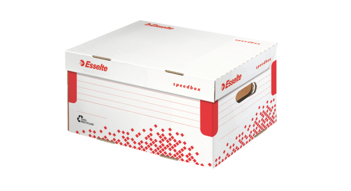 Opberg transportdoos esselte 355x193x252mm(623911)
