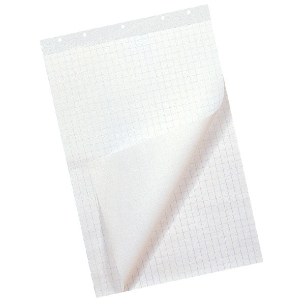 Flipoverpapier qua 65x100cm blanco/ruit 80gr fsc(890920133)
